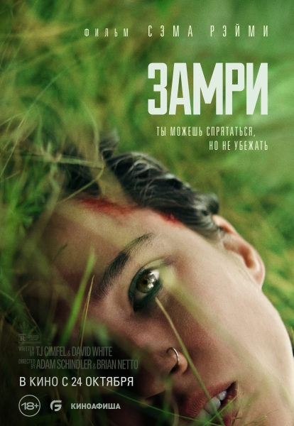 "Замри" - обездвиженный триллер. Рецензия