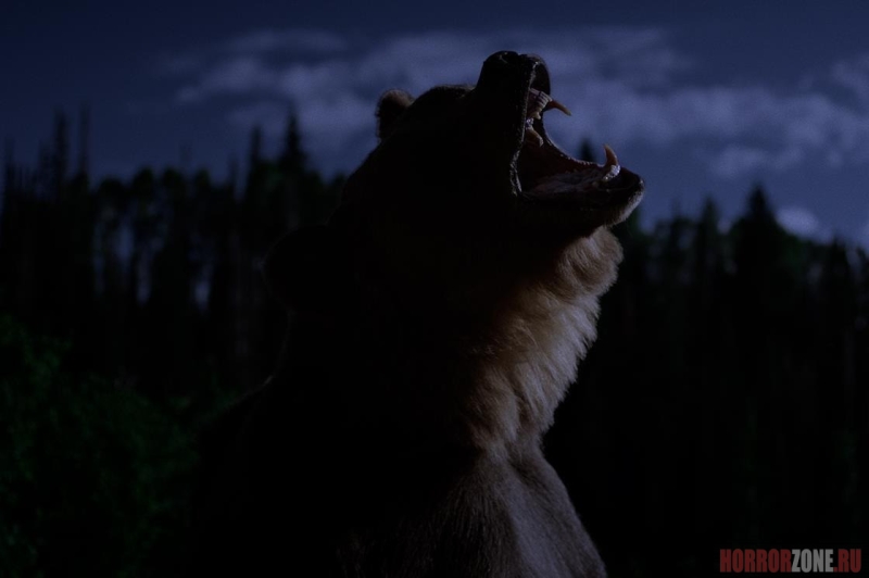 Настоящий медведь на первом кадре сурвайвл-триллера Grizzly Night (+ ПОСТЕРЫ)