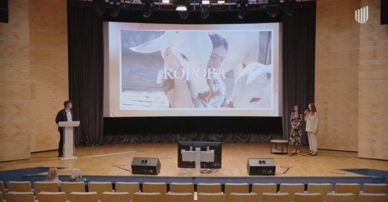 Питчинг в Министерстве культуры: мистика, триллеры, ромкомы и «Коровы»