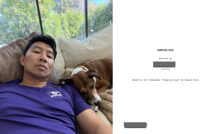 Производство экранизации Sleeping Dogs не стоит на месте: готов черновой вариант сценария фильма