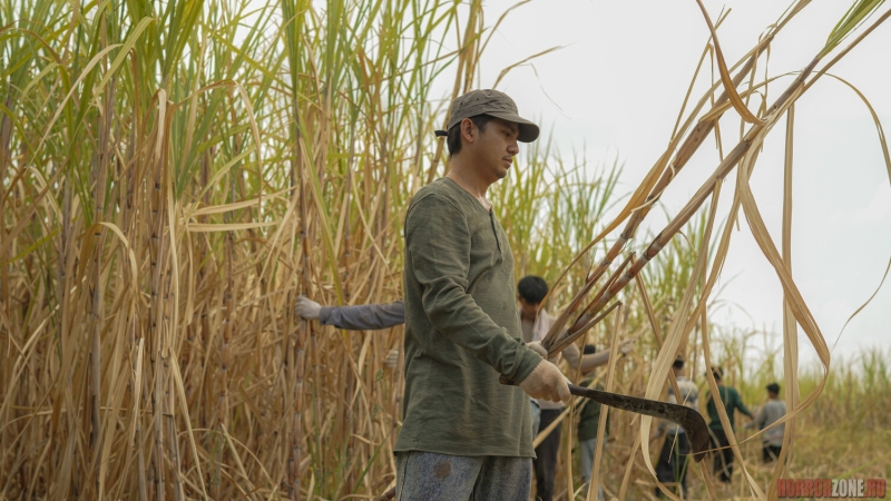 На сахарной фабрике в Индонезии что-то не так...
