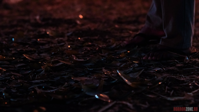 На сахарной фабрике в Индонезии что-то не так...