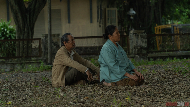 На сахарной фабрике в Индонезии что-то не так...