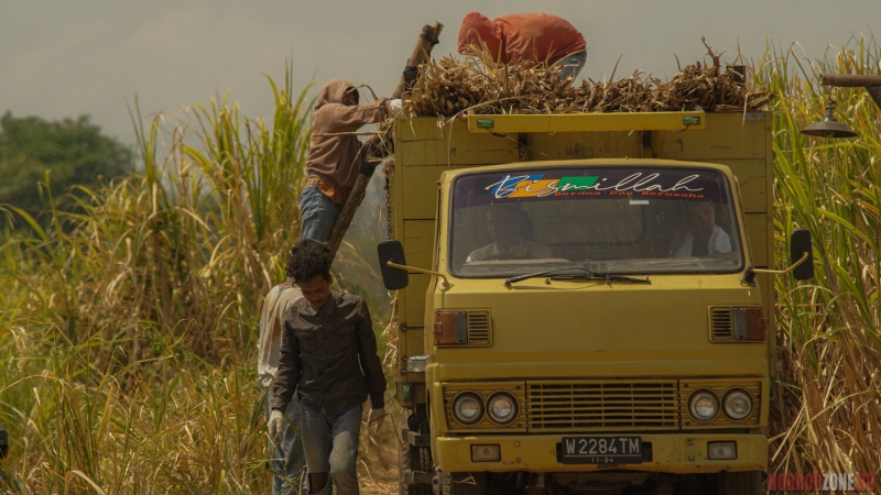 На сахарной фабрике в Индонезии что-то не так...