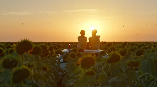 Что смотреть на кинофестивале «Зимний»